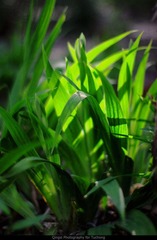 IMG_9979 PS.jpg
