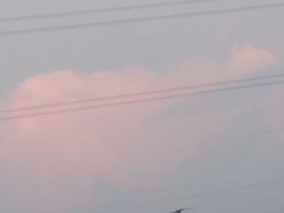 204633