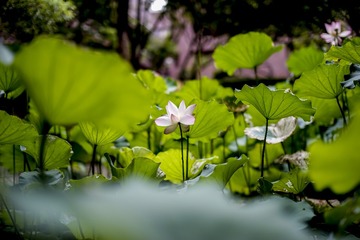 _DSC0072