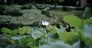 _DSC0073
