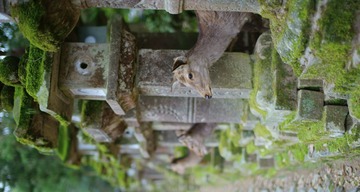 _DSC1391