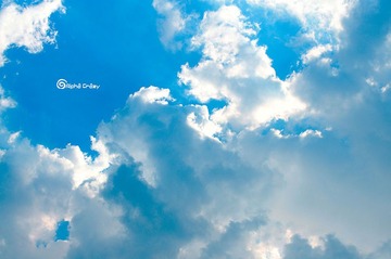 _DSC3615_1