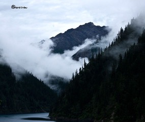 _DSC5341