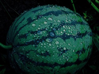 0BE03487-6EC3-440B-889A-730620F4F193/L0/001