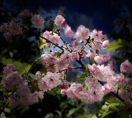 12684B3A-B2FE-47A0-8AF5-1E423140ED80/L0/001
