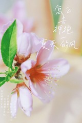 62D095B9-3251-4EF1-94AA-8E1514DF9AA2/L0/001