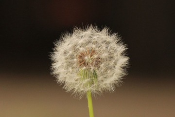 IMG_4831_副本2.jpg