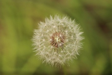 IMG_4826_副本.jpg