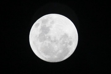 IMG_4618_副本.jpg