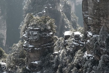 nEO_IMG_DSC_2598h.jpg
