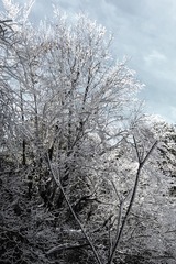 nEO_IMG_DSC_2608h.jpg