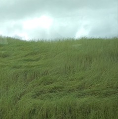 991