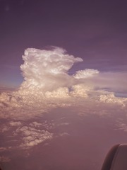 2C479A52-8BD3-4333-BE03-6E49B7737DDD/L0/001