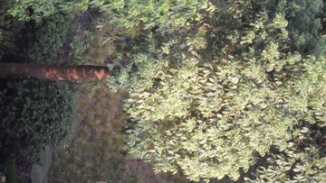 584064