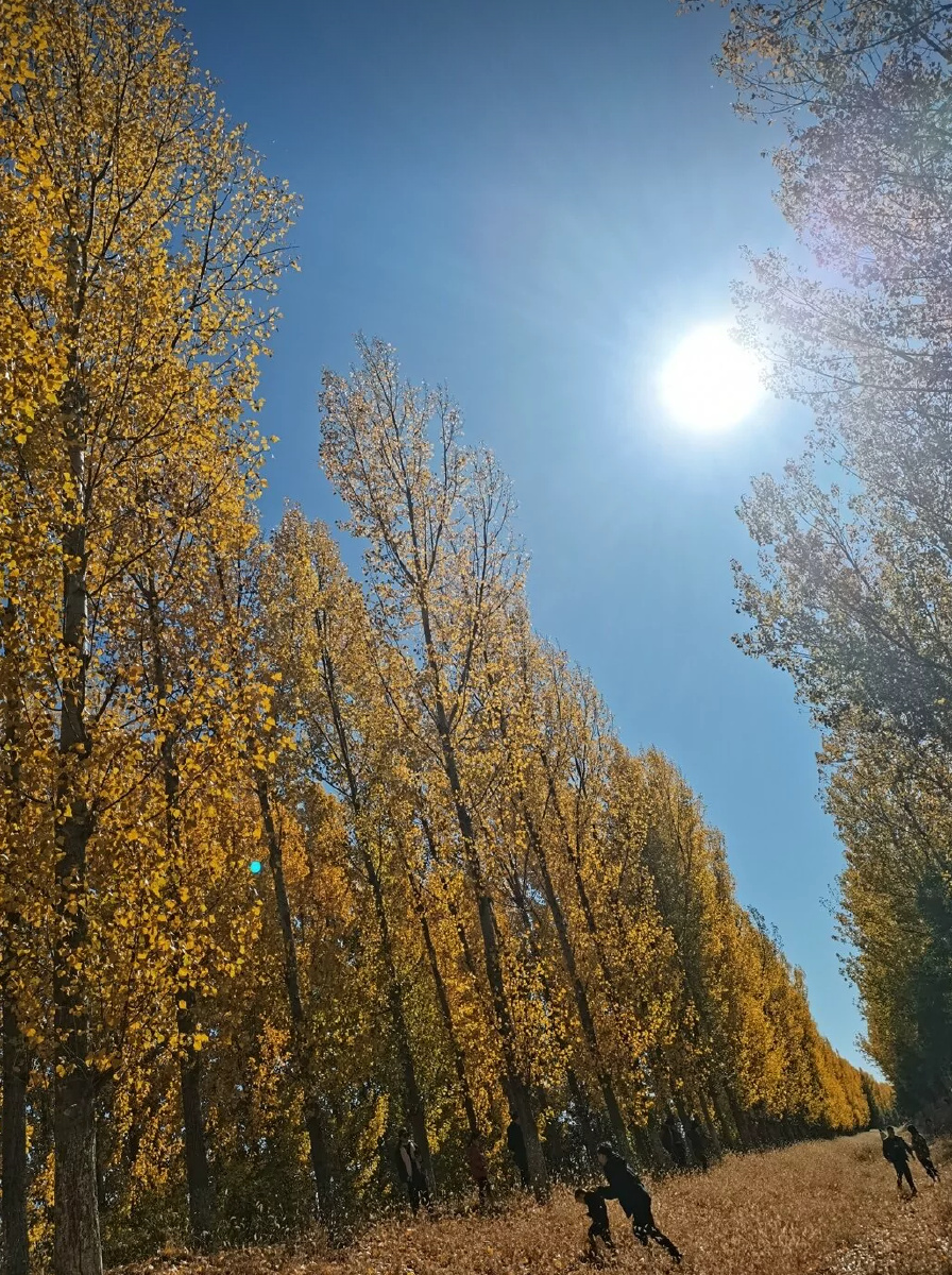 夏天的事物真美好