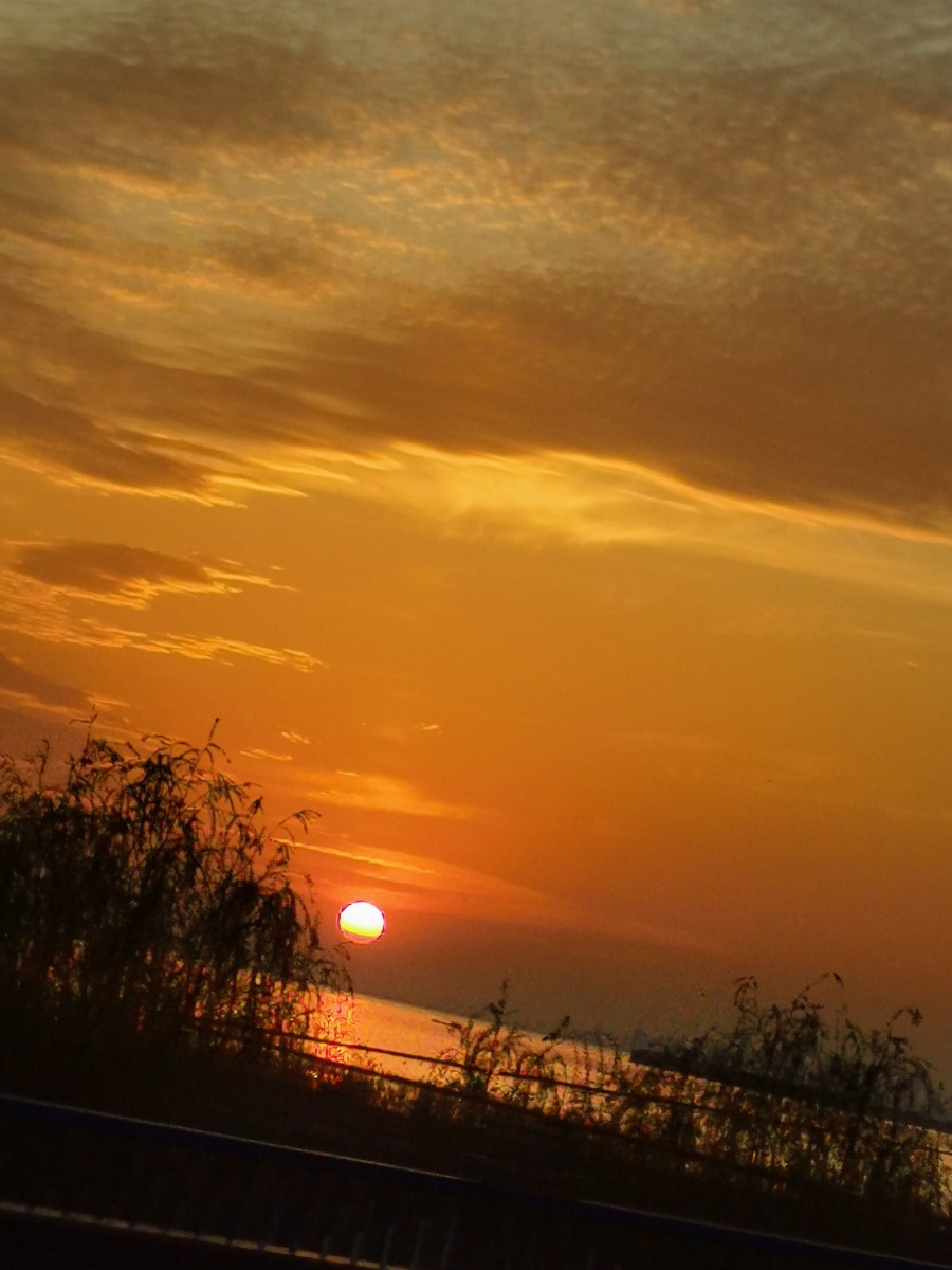 太阳不是突然落山的手机不是突然没电的热情也会被慢慢消耗掉我想你也