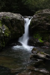 C6826483-6F04-400D-B1D7-00C404D954A7/L0/001