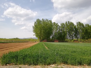 18949