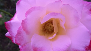 C2E9445D-335D-4612-B499-6F7A8C0F4A32/L0/001
