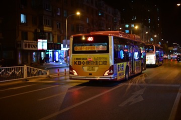 33531