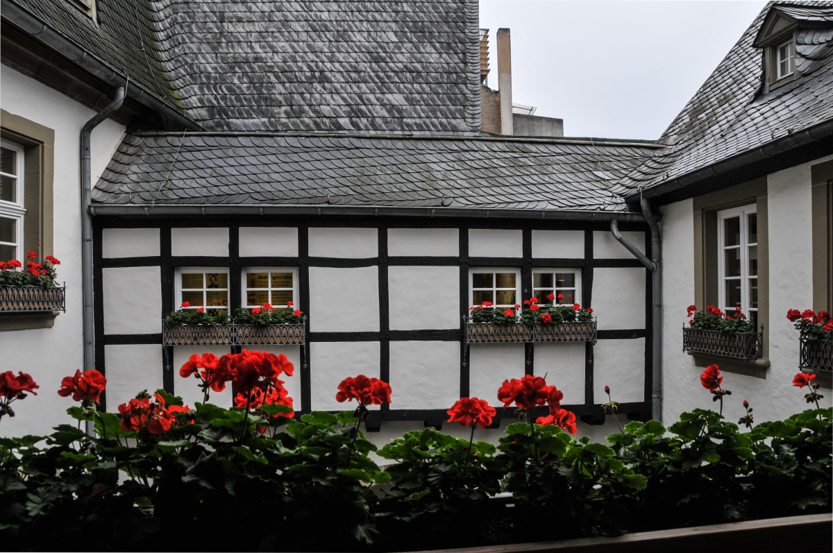 马克思故居博物馆