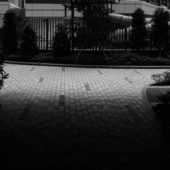 ADBEA5D1-4F43-4C69-A986-6A8B250B5DB9/L0/001