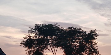 1654479