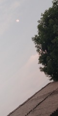 1654468