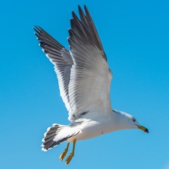 34505