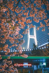 4F13864A-5D02-4603-A106-DA8EC492760A/L0/001
