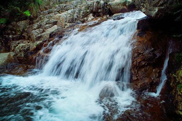 SDIM0367