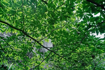 SDIM0356
