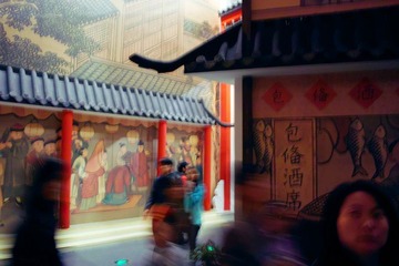 SDIM0132