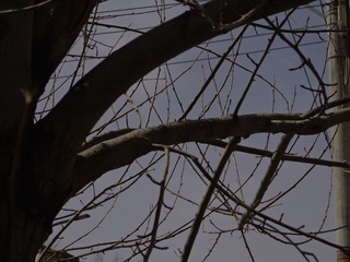 2B1DE8D8-C25E-450A-A02B-E62B80D5A418/L0/001