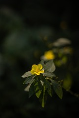 160586
