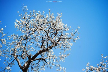 DSC_0040web