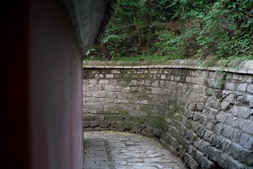 565462
