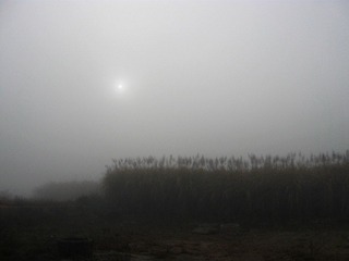 IMG_2263.jpg