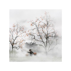 《柿子熟了》