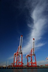 DSC06355.JPG