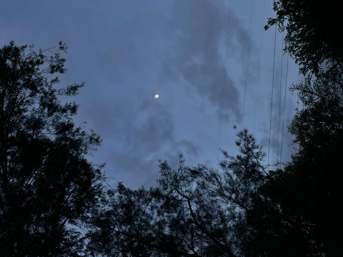 近期各种场景下的月亮原图拍摄于iphone12