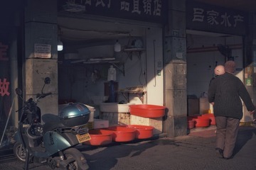 81544