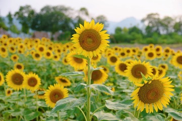 20090