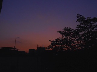D73D24E6-C9B9-4CC0-A826-4CDED38814FE/L0/001