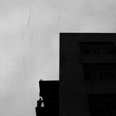 _DSC0217-编辑.jpg