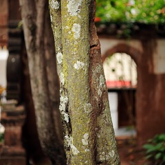DSC_5030 拷贝
