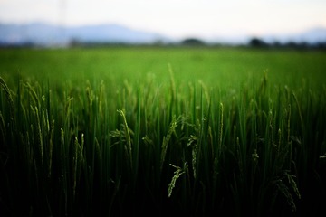 TST_5582 拷贝