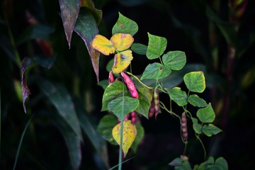 TST_5683
