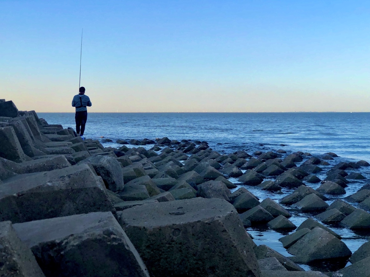 天津夏天的海边眺望远处海天一线垂钓的人啊乐在其中