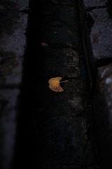 E7451D6F-73B5-4536-900D-693347B74BE6/L0/001